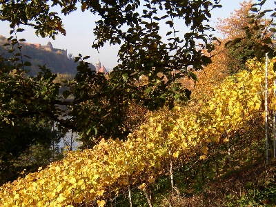Vom Grundstück aus sieht man schräg über die Elbe die Pirnaer Altstadt und das Schloss Sonnenstein
